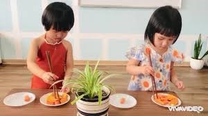 Hướng dẫn trẻ kỹ năng dùng đũa (gắp thức ăn)