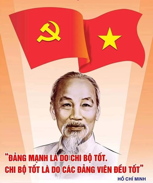 Cần phù hợp