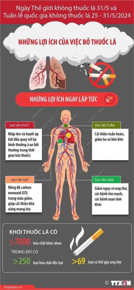 Ngày thế giới không thuốc lá 31/5 và tuần lễ quốc gia không thuốc 25 - 31/5/2024: những lợi ích của việc bỏ thuốc lá ngay lập tức