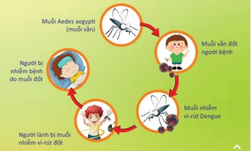 Trường Mầm non Tuổi Xanh  tuyên truyền phòng chống dịch bệnh Sốt Xuất Huyết đến đội ngũ Giáo viên và Quý Phụ Huynh.