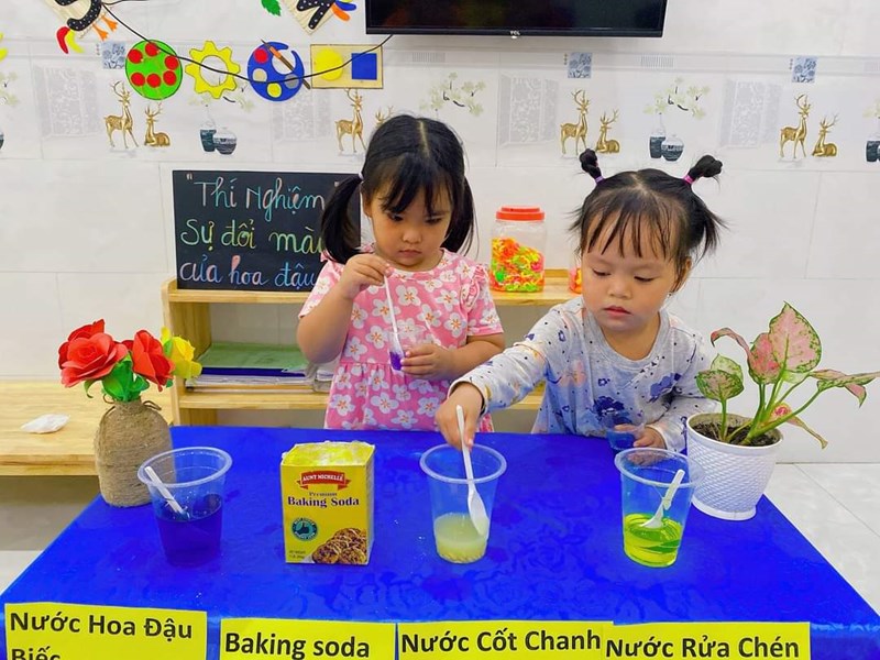 Thí nghiệm Sự đổi màu của nước hoa đậu biếc 