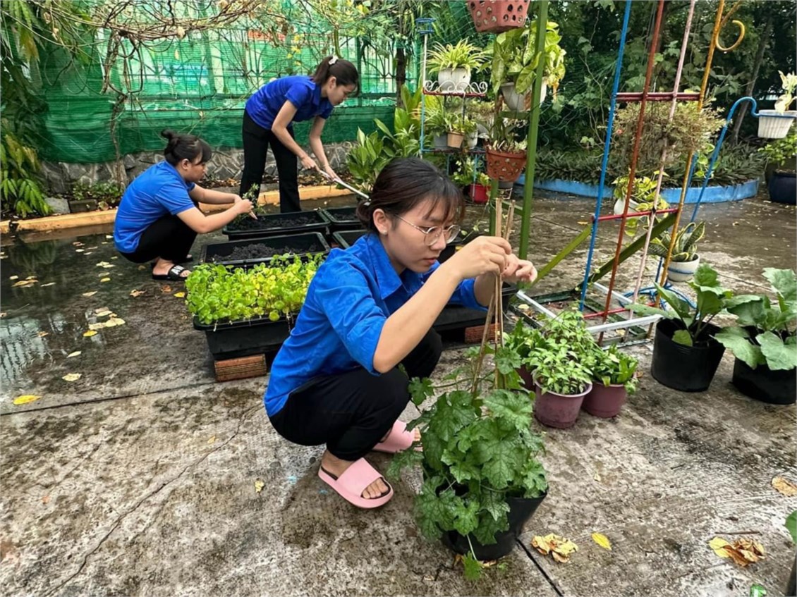 Ảnh đại diện