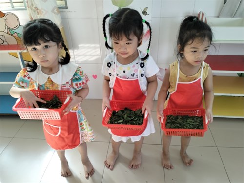   BÉ TẬP NHẶT RAU   Lớp;3-4tuổi