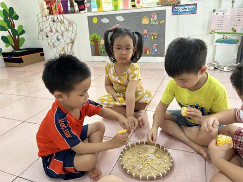 Hôm nay các bé lớp Chồi 1 được khám phá và tìm hiểu cấu tạo của quả bắp, các bé chỉ mới làm quen kĩ năng bóc vỏ và tách hạt nhưng thực hiện cũng rất chuyên nghiệp nè