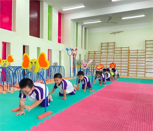 Các hoạt động rèn luyện thể chất
