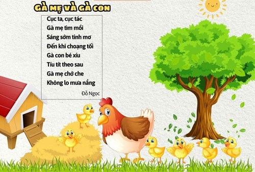 Thơ: gà mẹ và gà con