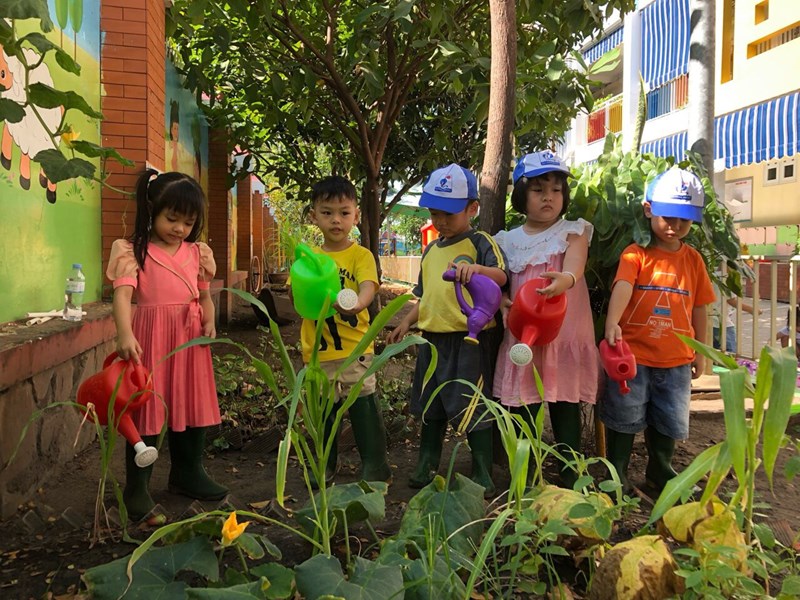 Hoạt động vui chơi ngoài trời lớp chồi 2