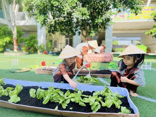 Chuyên đề “Tổ chức các hoạt động trải nghiệm cho trẻ mầm non” - lớp Chồi 1
