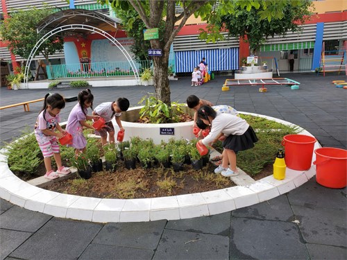 Bé chăm sóc cây lớp Sơn ca 2