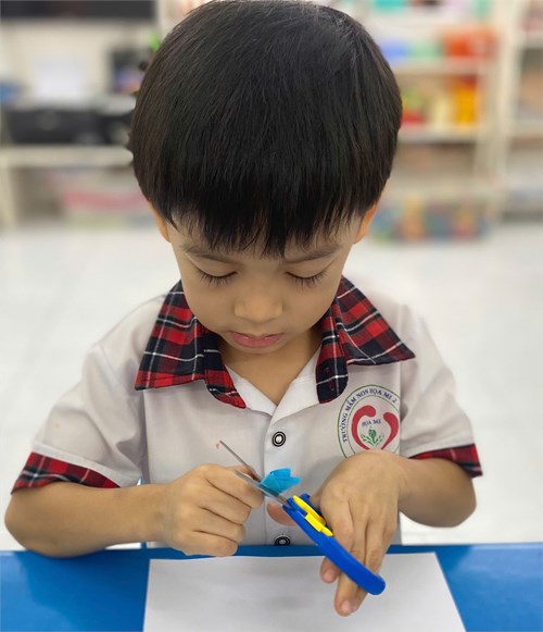 Hoạt động tạo hình:  Cắt dán hoa 5 cánh 