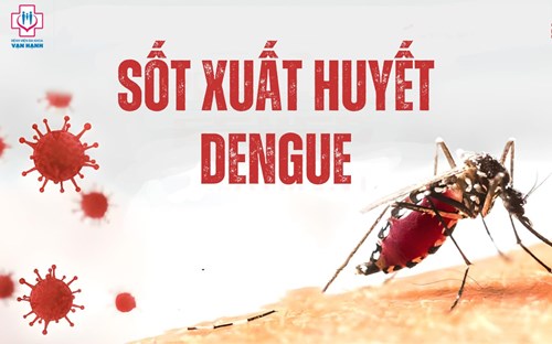 Sốt xuất huyết: Dấu hiệu nhận biết và biện pháp triệt nơi sinh sản của muỗi truyền bệnh sốt xuất huyết