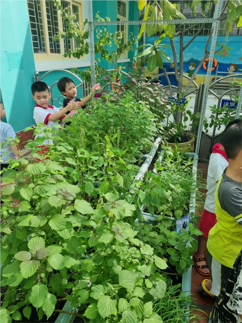 Kế hoạch giáo dục tuần
tháng 2/2024
lớp 5-6 tuổi (lá 2)