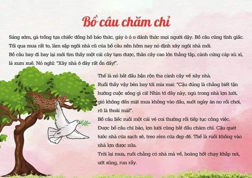 Truyện_Bồ câu chăm chỉ