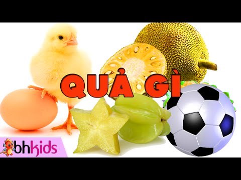 Hát đối đáp: Qủa gì? ( Chồi 1)