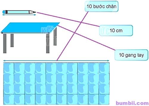 Tập ước lượng bằng mắt, bằng tay (Lớp Chồi 3)