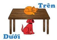 Ôn định hướng trái phải, trên dưới, trước sau của mình và bạn (Lớp Chồi 3)