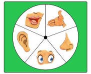 PTNT: Tìm Hiểu Về Các Giác Quan