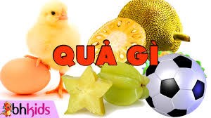 Giáo án âm nhạc: Bài hát   Quả 