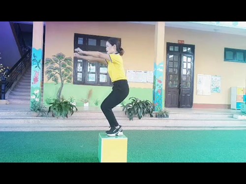 Giáo án thể dục: Bật - nhảy từ trên cao xuống 30cm - 35cm