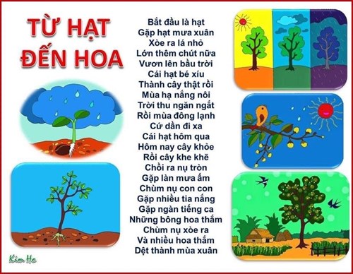 Bài thơ   Từ hạt đến hoa 