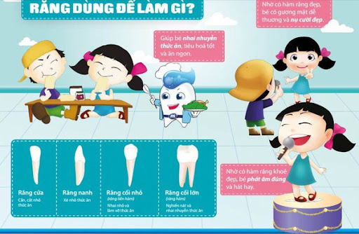 Đố vui: nha học đường