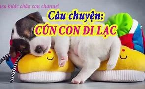 truyện : Cún con đi lạc  mầm 3)