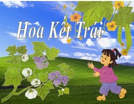 Thơ Hoa kết trái (mầm 3)