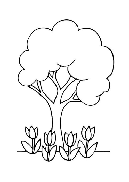 Tạo hình vẽ cây xanh