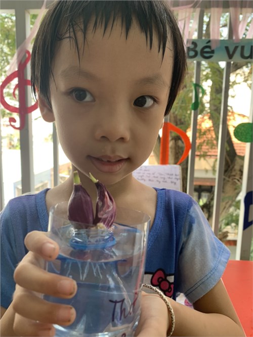 Ngày 10/10/2023 cô và các bé lớp Lá 3 trồng hành lá thuỷ canh tại lớp
