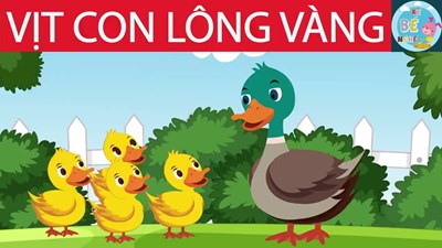 Truyện:  Vịt con lông vàng 