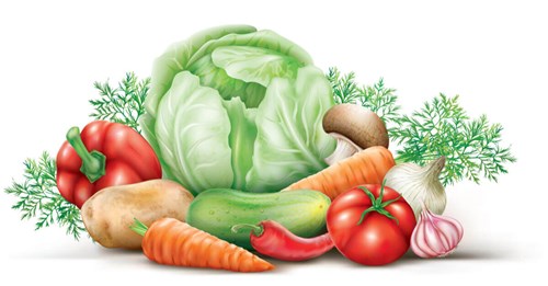 Chế độ dinh dưỡng ngày Tết thế nào để trẻ đủ dinh dưỡng