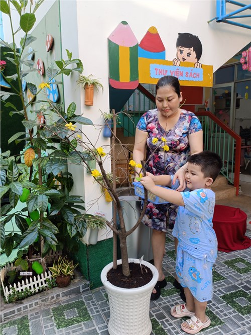 Điểm 169 trang trí đón Xuân Giáp Thìn
