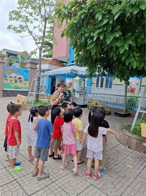 Lớp Chồi 2: Cùng nhặt lá vàng