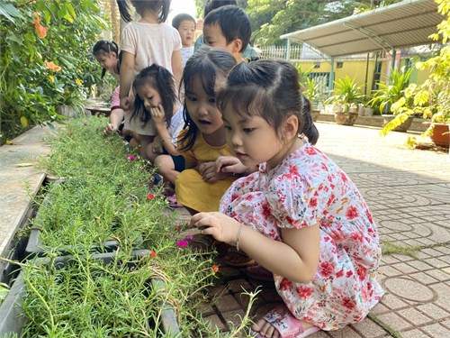 Hoạt động vui chơi ngoài trời