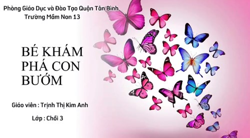 Chồi 3 : Bé khám phá con bướm
