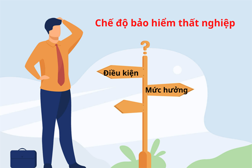Một số quy định về thủ tục hồ sơ và trợ cấp bảo hiểm thất nghiệp
