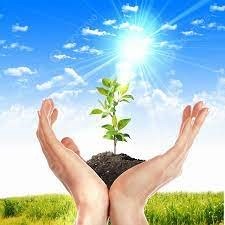 Phòng, chống bệnh không lây nhiễm và rối loạn sức khoẻ tâm thần tại trường học giai đoạn 2024-2025