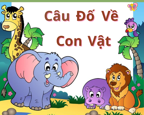 Câu đố về con vật