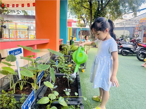 Cùng các bé lớp Lá 4 chăm sóc cây xanh