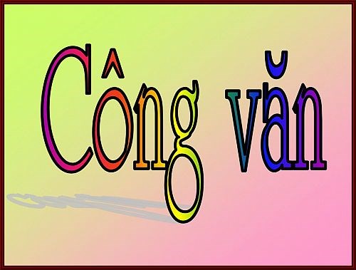 Công văn 738/GDĐT ngày 11/12/2024