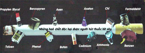 Thuốc lá và những tác hại của nó