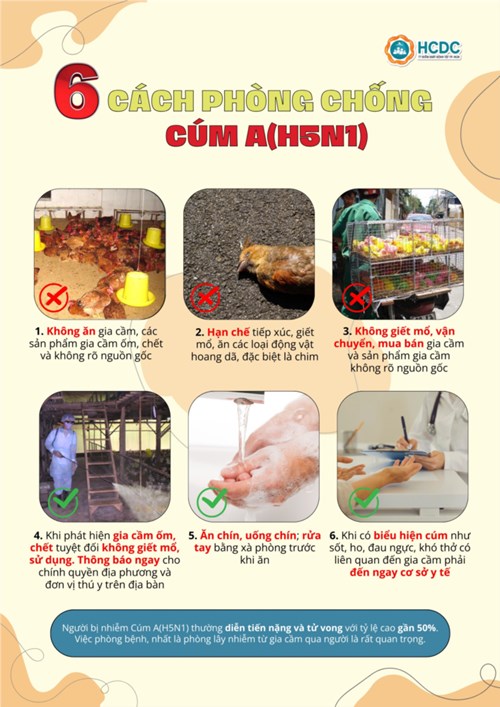 Truyền thông 6 cách phòng chống Cúm A (H5N1)