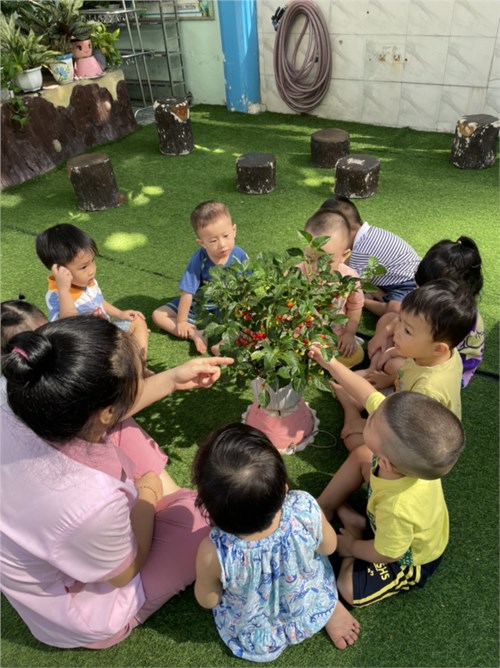 Các bé Nhà trẻ trong giờ hoạt động ngoài trời