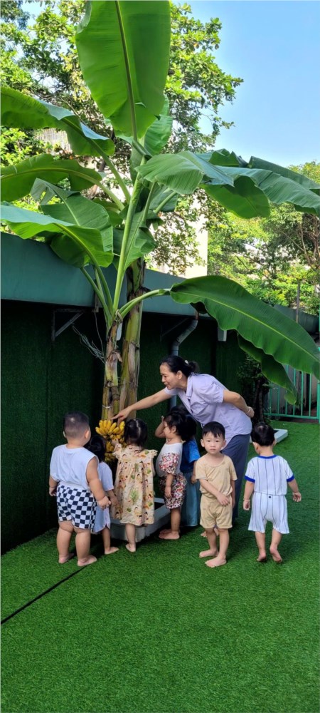 Trường Mầm non 27 tổ chức Hội thi   Giáo viên dạy giỏi cấp trường  năm học 2024 - 2025