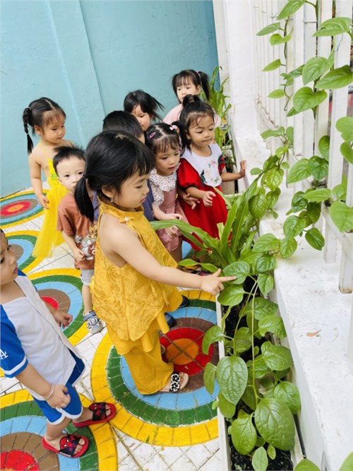 Hoạt động ngoài trời của các bé nhóm Sơn ca 1