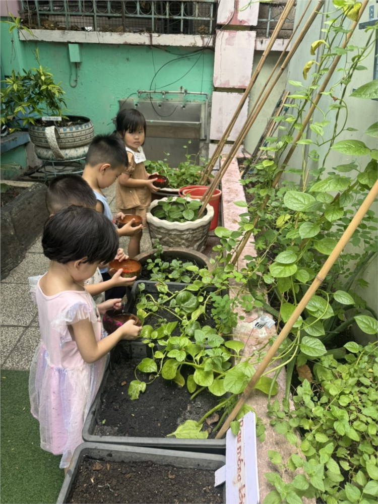 Ảnh đại diện