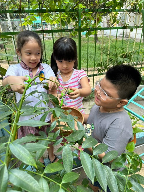 Vườn cây của bé