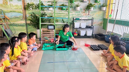 Các bé trồng cây