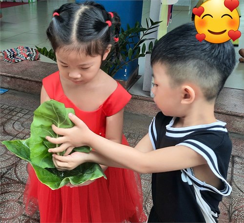 Trò chơi: Chuyền nước bằng lá - lớp Chồi 1