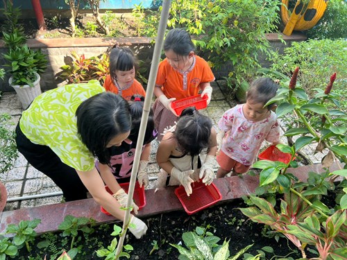 Hoạt động vui chơi ngoài trời:  Chăm sóc vườn cây  - Lớp 5-6 tuổi(2)